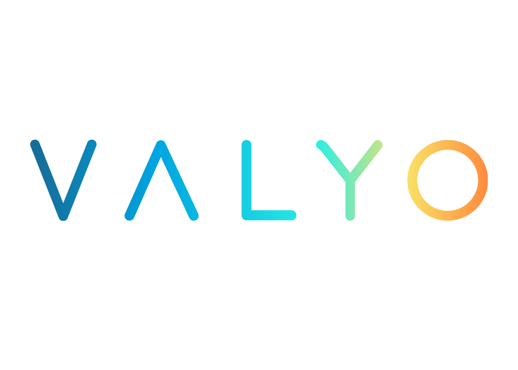 Valyo_Logo